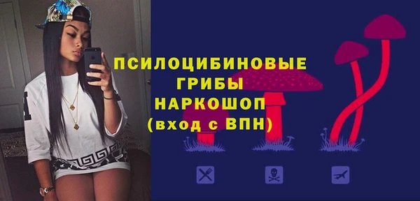 спайс Верея