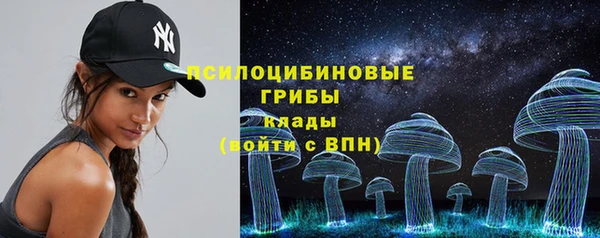 бошки Туринск