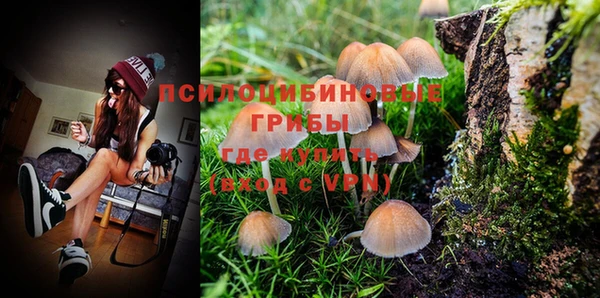 бошки Туринск